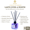 Teona Fig Reed Diffuser