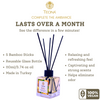 Teona Melon Reed Diffuser