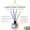 Teona Mango Reed Diffuser