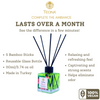 Teona Tropical Reed Diffuser