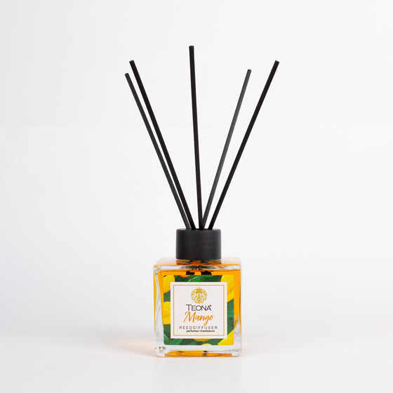 Teona Mango Reed Diffuser